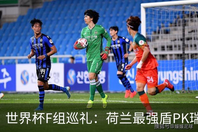 世界杯F组巡礼：荷兰最强盾PK瑞典犀利刀 日本短板明显